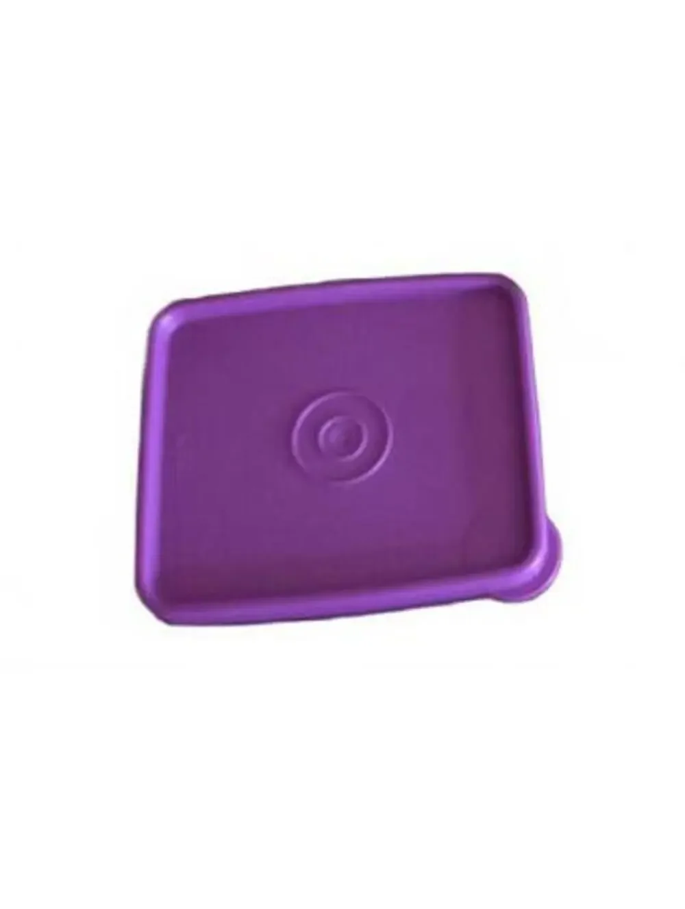 Tupperware purple square